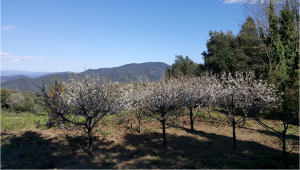 Recés de cap de setmana a Sant Martí del Montnegre