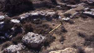 La basílica romana era en realitat una mesquita