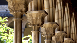 El monestir de Pedralbes. Història i art