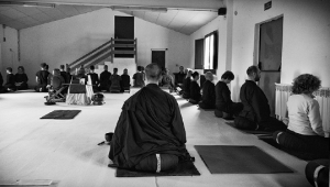 Curs de Meditació Zen