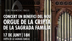 Concert d'orgue a la cripta de la Sagrada Família