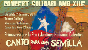 Concert solidari amb Xile, a Mataró