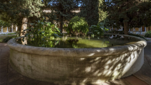 Meditació zen al claustre de Pedralbes