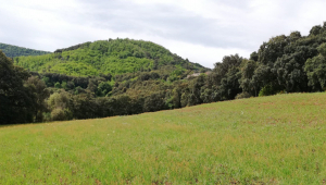 Recés de cap de setmana a Sant Martí del Montnegre