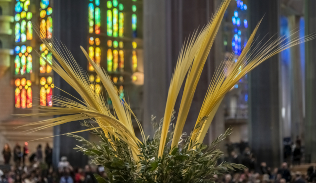 S’amplien les places per al taller de Setmana Santa a la Sagrada Família