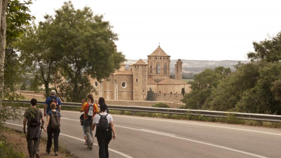 Arribant a Poblet